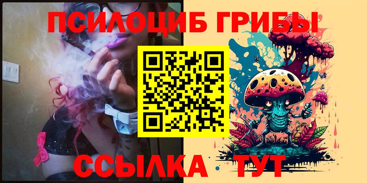Псилоцибиновые грибы GOLDEN TEACHER Санкт-Петербург