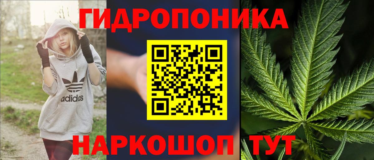 Конопля план  Канабис AK-47  Вход с VPN  Каннабис VHQ  Санкт-Петербург 